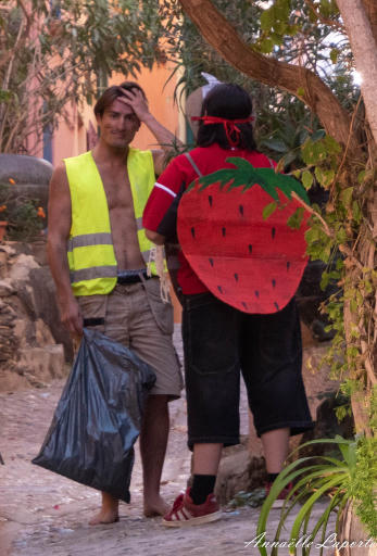 Archive photo de Fraise en mer