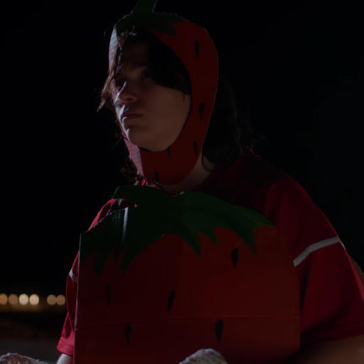 Archive photo de Fraise en mer